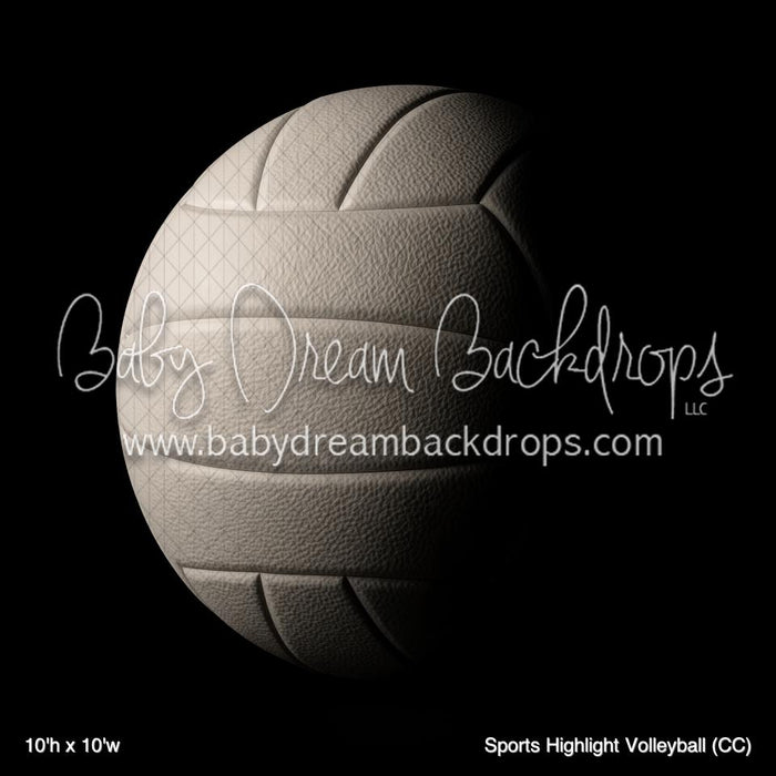 Sports Highlight Volleyball (CC)