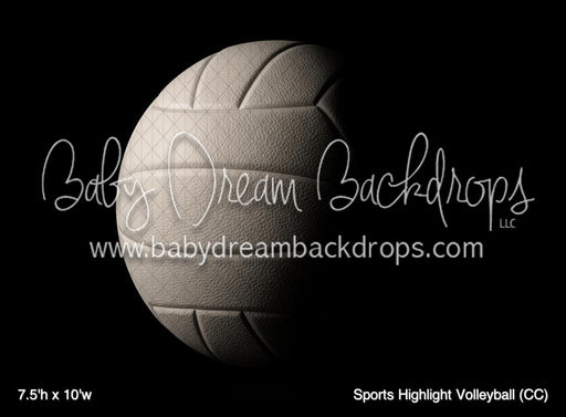 Sports Highlight Volleyball (CC)