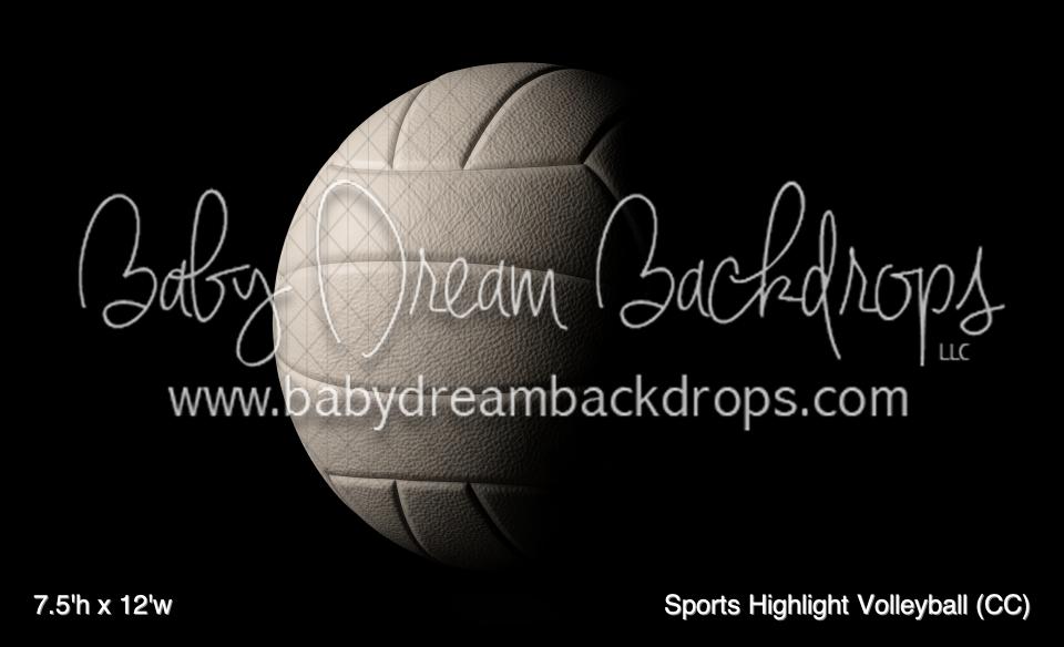 Sports Highlight Volleyball (CC)