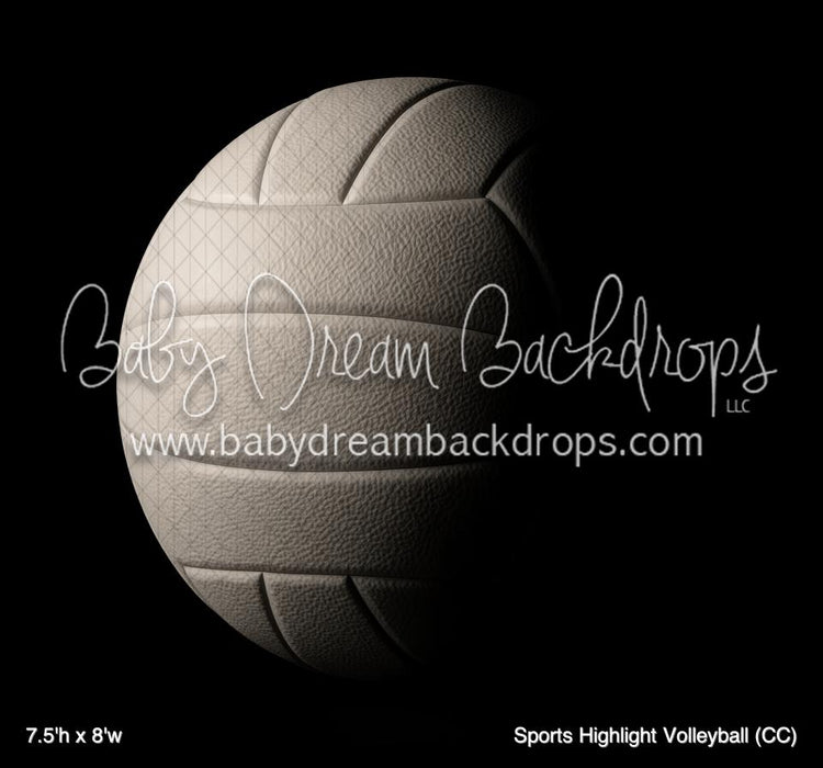 Sports Highlight Volleyball (CC)