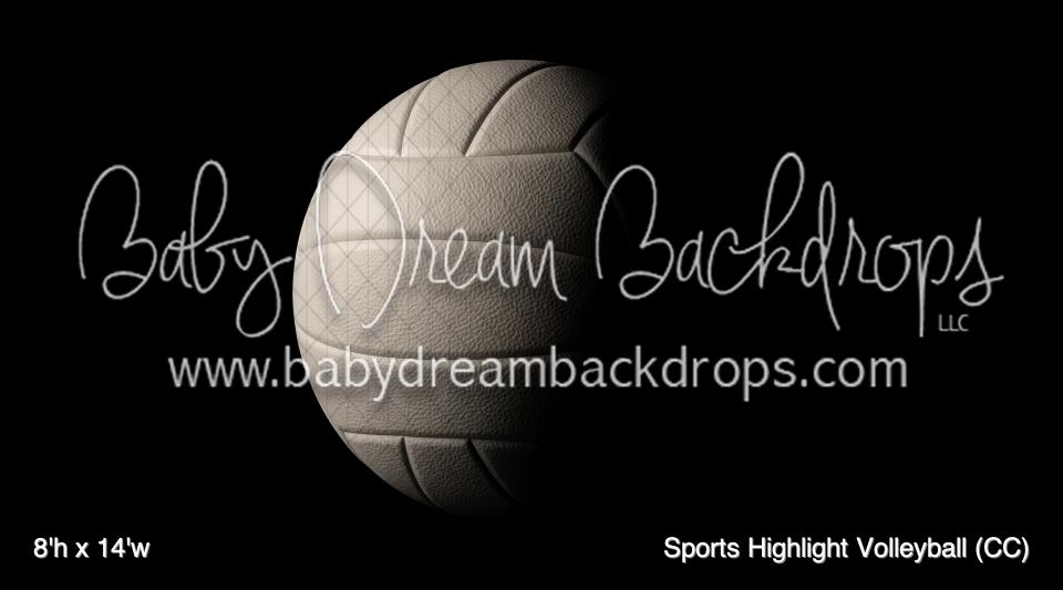 Sports Highlight Volleyball (CC)