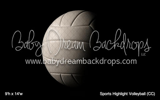 Sports Highlight Volleyball (CC)