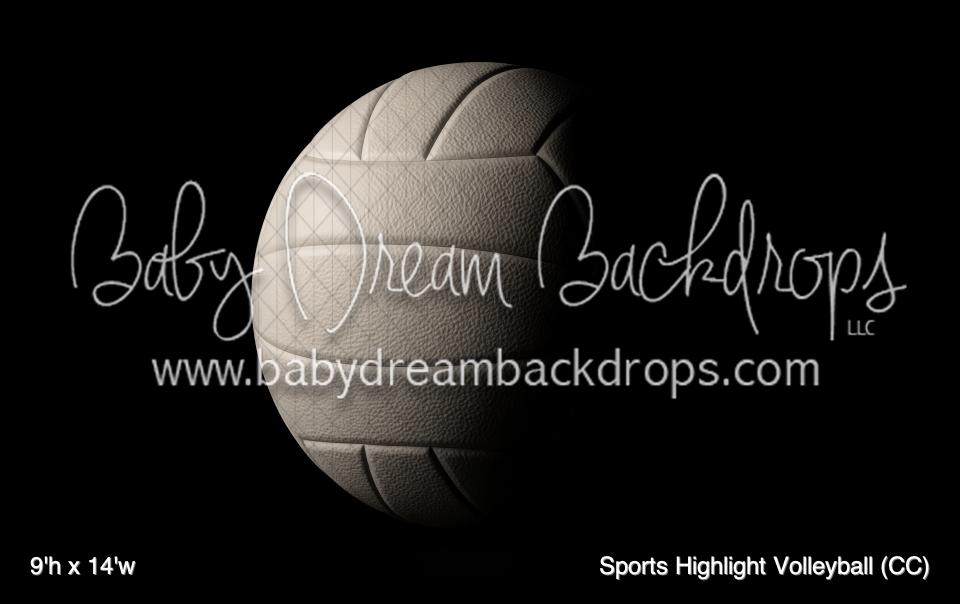 Sports Highlight Volleyball (CC)