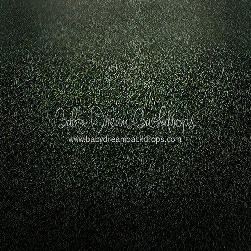 Spotlight Turf (CC)