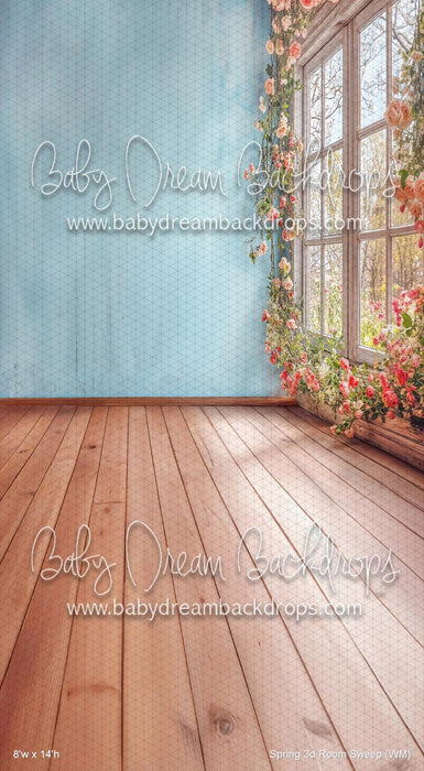 Spring 3d Room Sweep (WM)