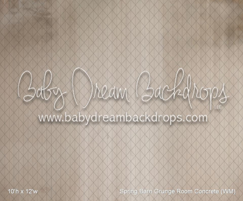 Spring Barn Grunge Room Fabric Floor (WM)