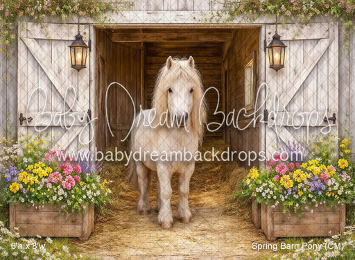 Spring Barn Pony (CM)