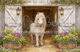 Spring Barn Pony (CM)