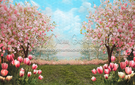 Spring Blossom Path (JA)