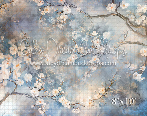 Spring Cherry Blossom (VR)