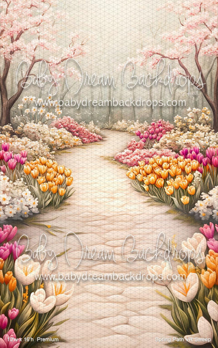 Spring Path  Sweep (VR)