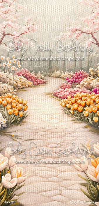 Spring Path  Sweep (VR)