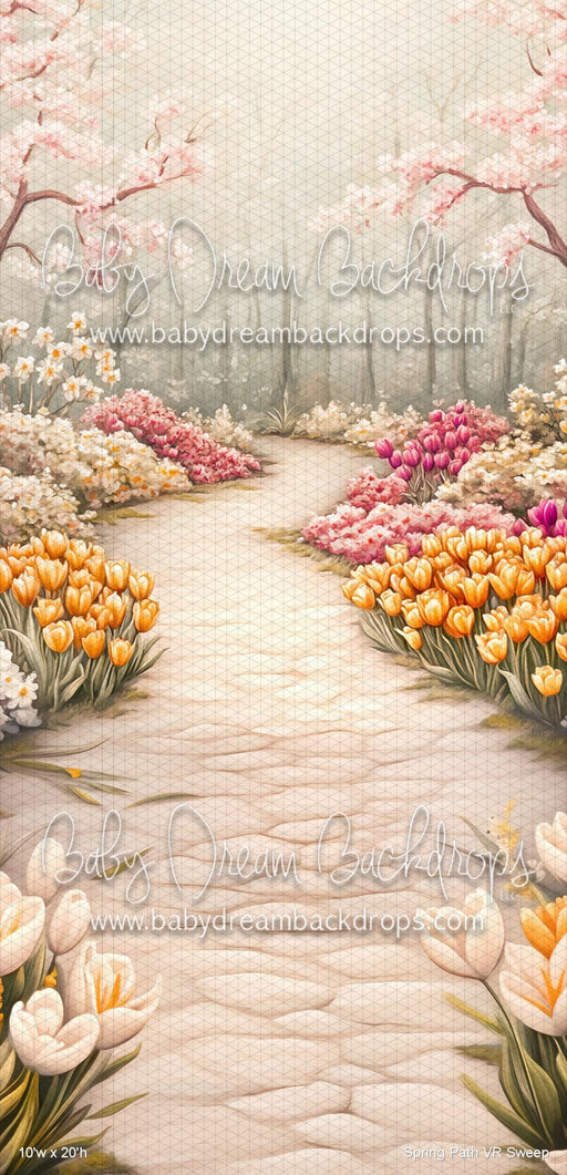 Spring Path  Sweep (VR)