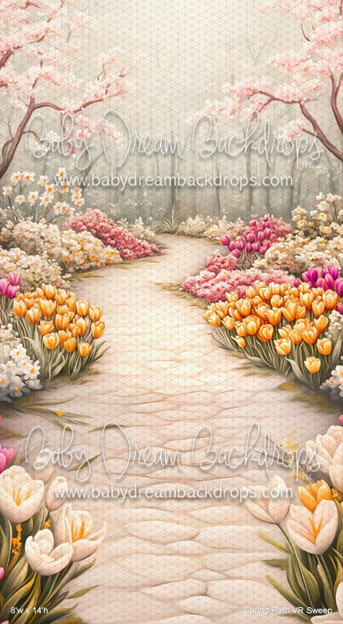 Spring Path  Sweep (VR)