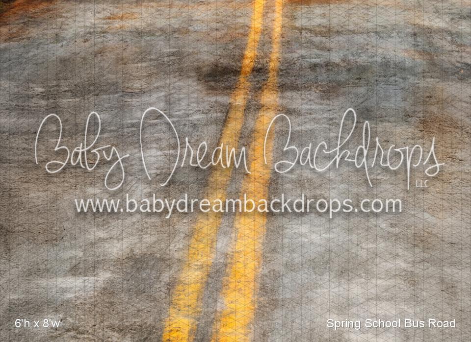 Spring School Bus Road (VR)