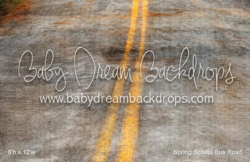 Spring School Bus Road (VR)