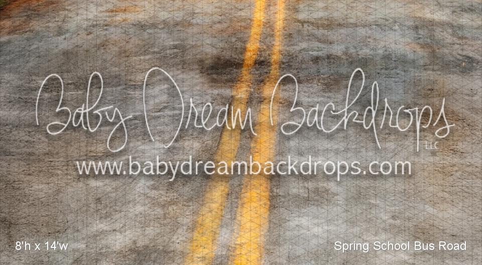 Spring School Bus Road (VR)