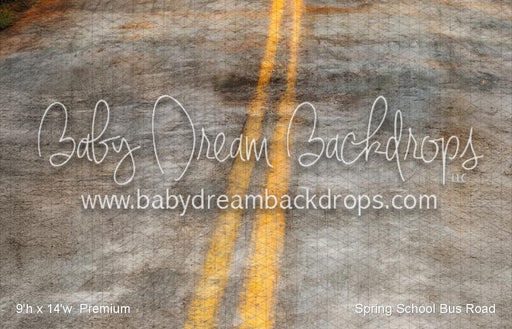 Spring School Bus Road (VR)