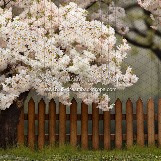 Spring Song Yard (JA)