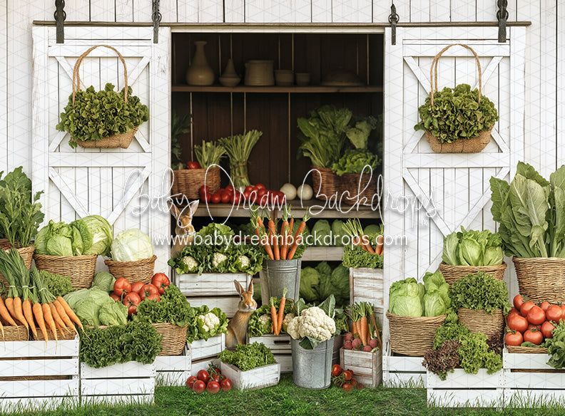 Spring Sprout Shed (JA)