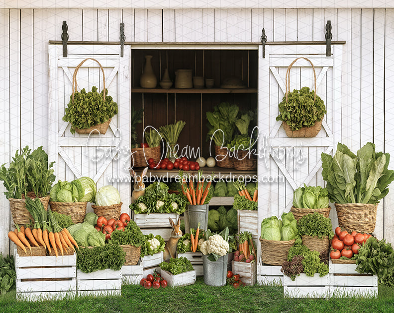 Spring Sprout Shed (JA)