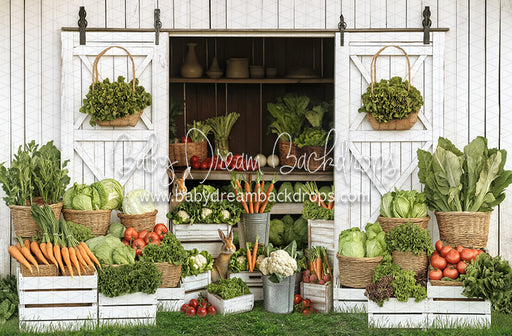 Spring Sprout Shed (JA)