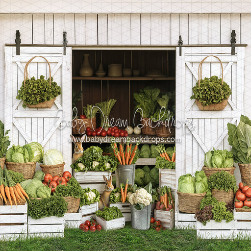 Spring Sprout Shed (JA)