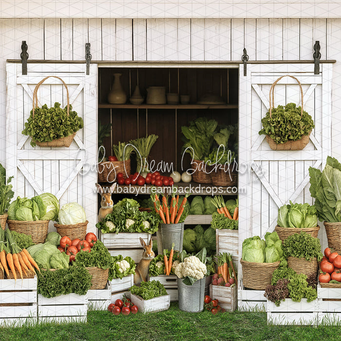 Spring Sprout Shed (JA)