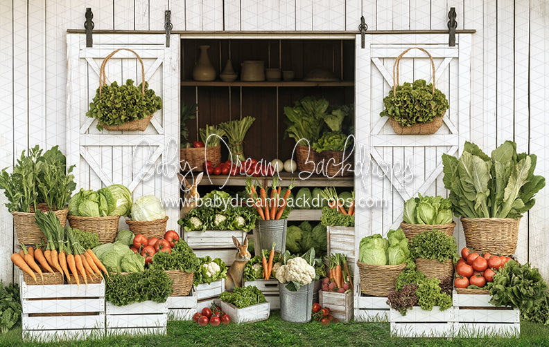 Spring Sprout Shed (JA)