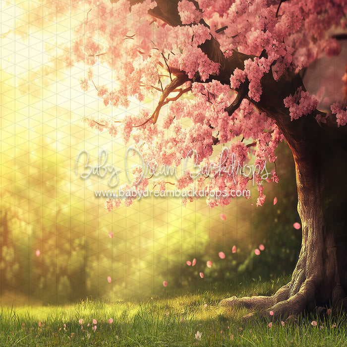 Spring Sunset Meadow (JA)