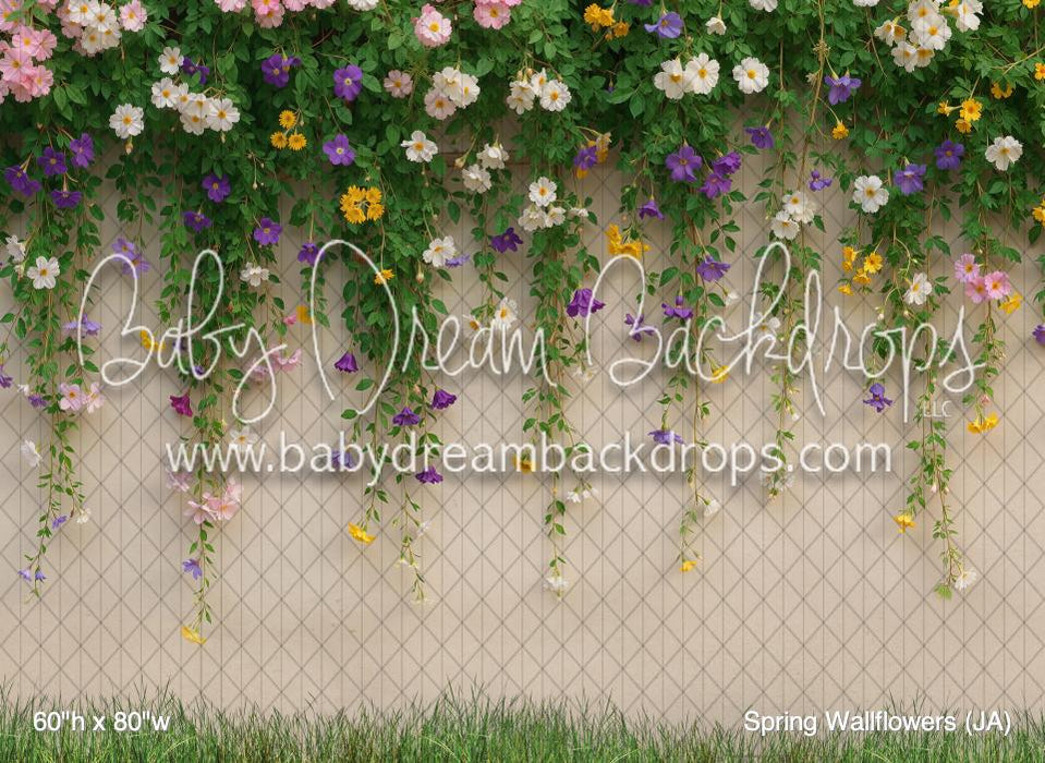 Spring Wallflowers (JA)