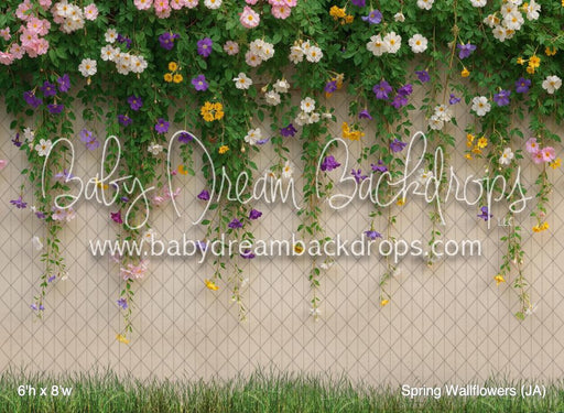 Spring Wallflowers (JA)