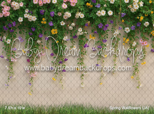 Spring Wallflowers (JA)