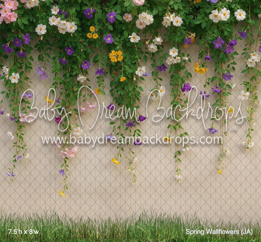 Spring Wallflowers (JA)