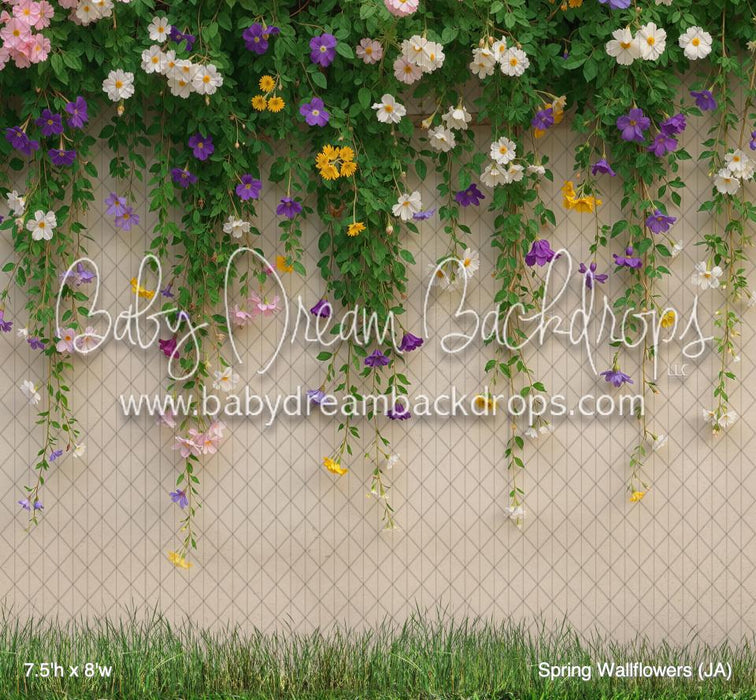 Spring Wallflowers (JA)