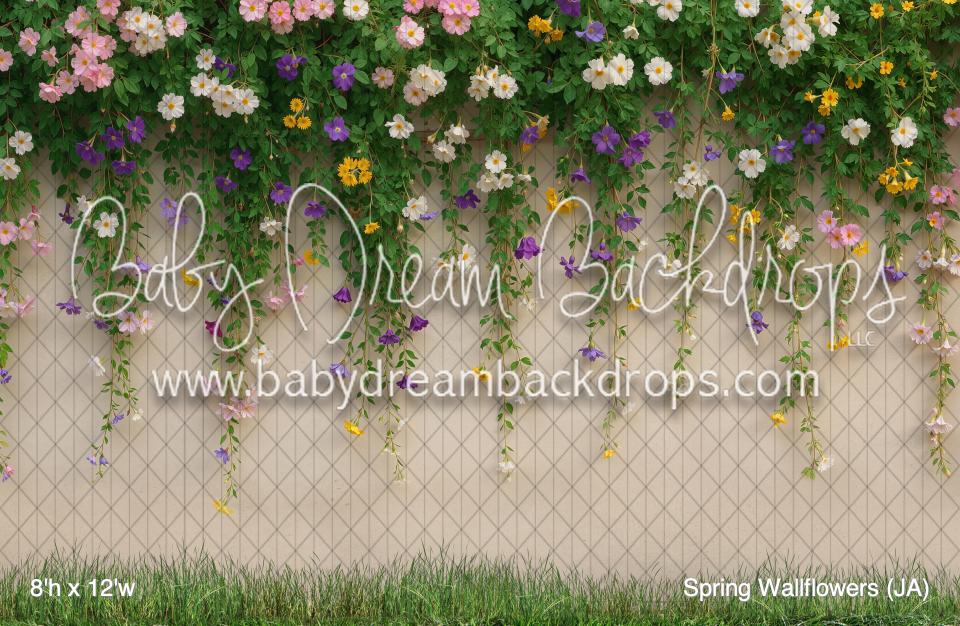 Spring Wallflowers (JA)