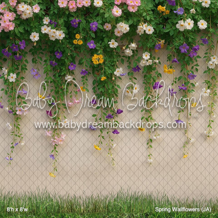 Spring Wallflowers (JA)