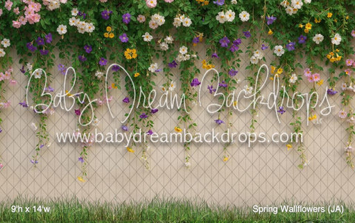 Spring Wallflowers (JA)