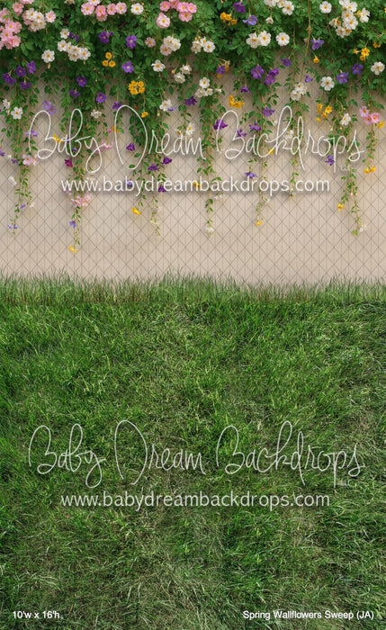 Spring Wallflowers Sweep (JA)