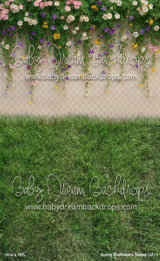 Spring Wallflowers Sweep (JA)