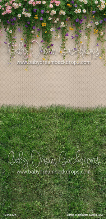 Spring Wallflowers Sweep (JA)