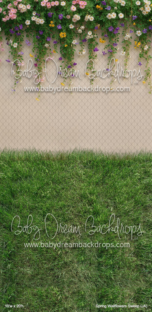 Spring Wallflowers Sweep (JA)