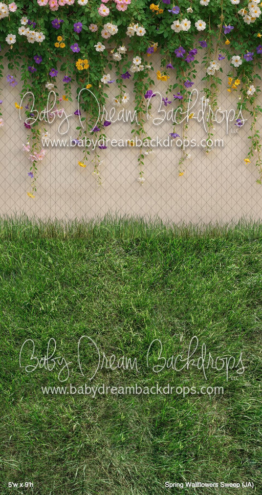 Spring Wallflowers Sweep (JA)