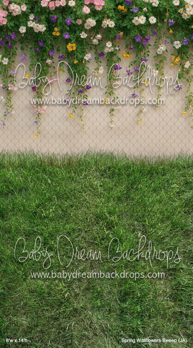 Spring Wallflowers Sweep (JA)