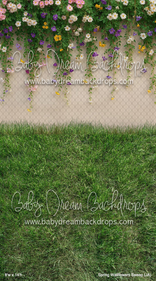 Spring Wallflowers Sweep (JA)