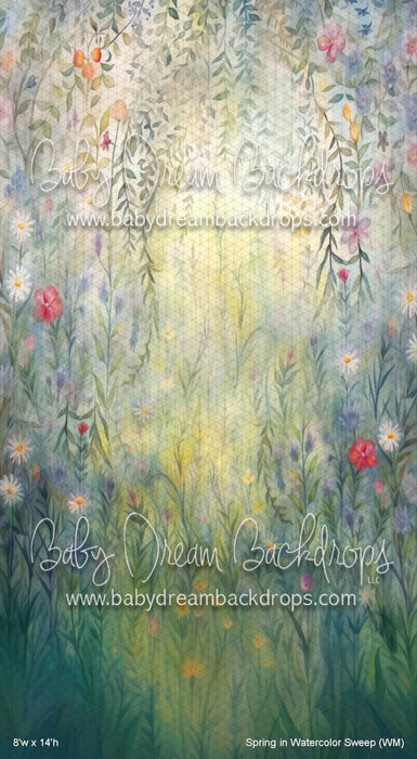 Spring in Watercolor Sweep (WM)