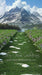 Spring in the Alps Sweep (HL)
