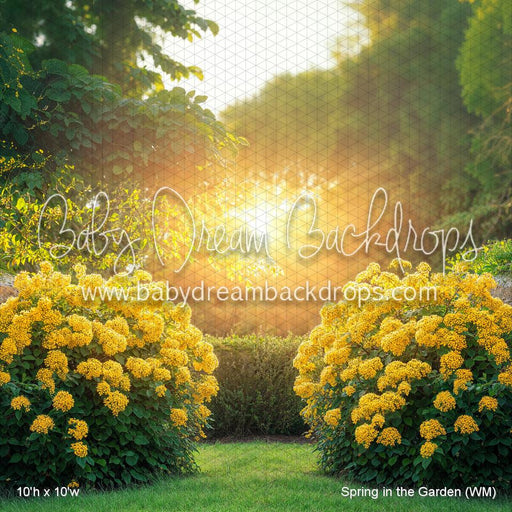 Spring in the Garden (WM)