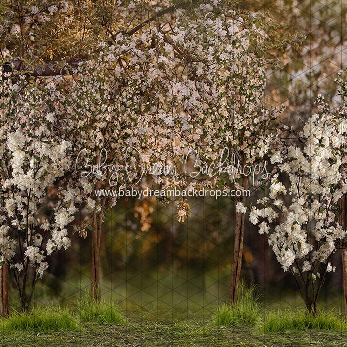 Spring Countryside Forest (JA)