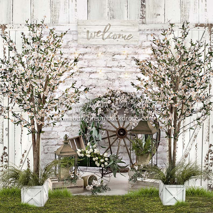 Spring Farm with Grass